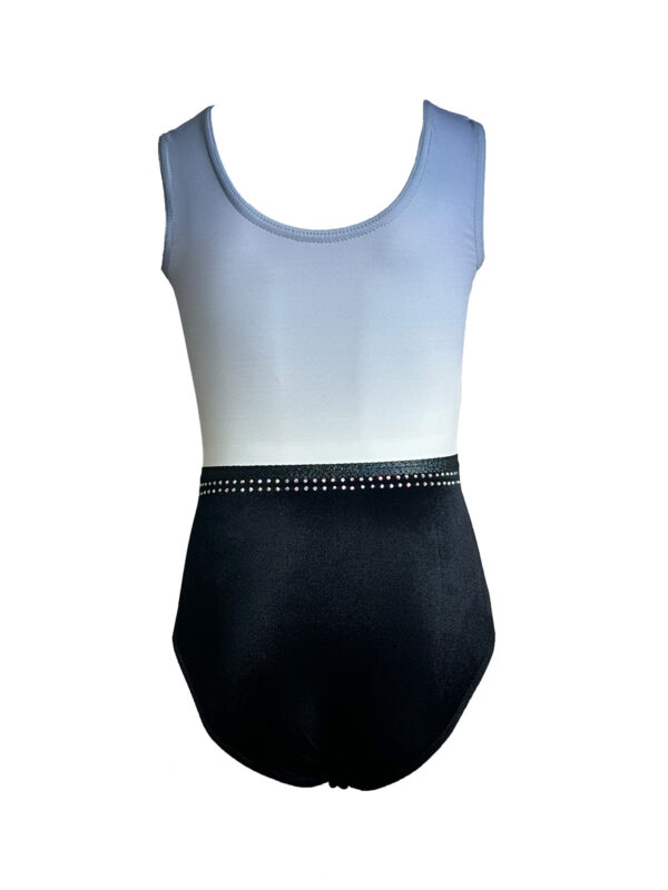 C-Style-07-weiss-zu-blau-002 Turnanzug C-Style 07